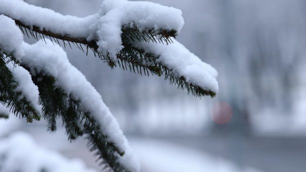 Попоски: ИНЕС ја враќа зимата и снегот