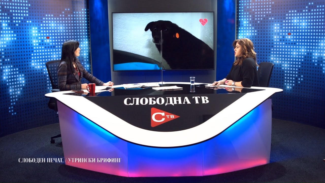 Петрушевска од „Лајка“: Ги замолувам оние кои пробуваат да си играат со чувствата на љубителите на кучиња да не го прават тоа