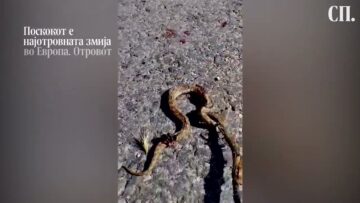 Приватно: [ID: hX9iqvCJDIo] Youtube Automatic