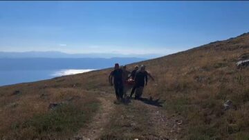 Приватно: [ID: jZhU9uyyr3g] Youtube Automatic