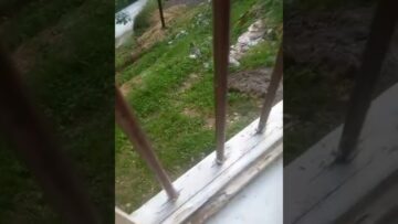 Приватно: [ID: Jvds8YlB0og] Youtube Automatic