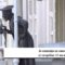 Распадната оградата на МНТ, нема ништо од најавите за поправки на објектот