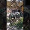 Приватно: [ID: qJA4Nv90AYU] Youtube Automatic
