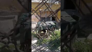 Приватно: [ID: qJA4Nv90AYU] Youtube Automatic