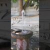 Приватно: [ID: rNx8hhpLn8U] Youtube Automatic