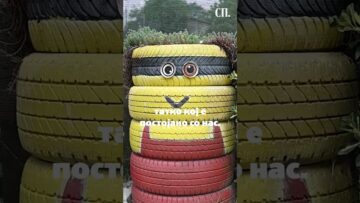 Приватно: [ID: ckkpR88IDFI] Youtube Automatic