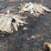 Приватно: [ID: cmCsCpUn86c] Youtube Automatic