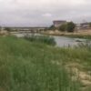 Приватно: [ID: K4fqs2XUmic] Youtube Automatic