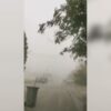 Приватно: [ID: LmMcvLPxEMU] Youtube Automatic