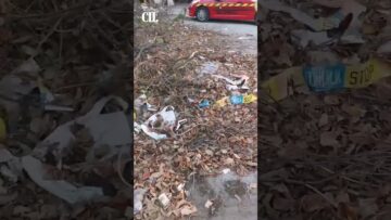 Приватно: [ID: kLhrlCaw3Rk] Youtube Automatic