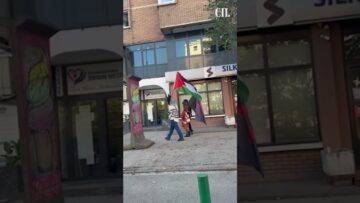 Приватно: [ID: mz4p3pt8B94] Youtube Automatic