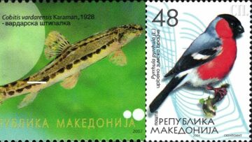 Приватно: [ID: Avuq89kR2kM] Youtube Automatic