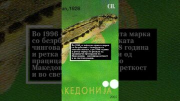 Приватно: [ID: _xbStDdbmlc] Youtube Automatic