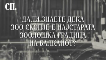 Приватно: [ID: km-LZjiPFR8] Youtube Automatic