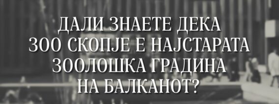 Приватно: [ID: km-LZjiPFR8] Youtube Automatic