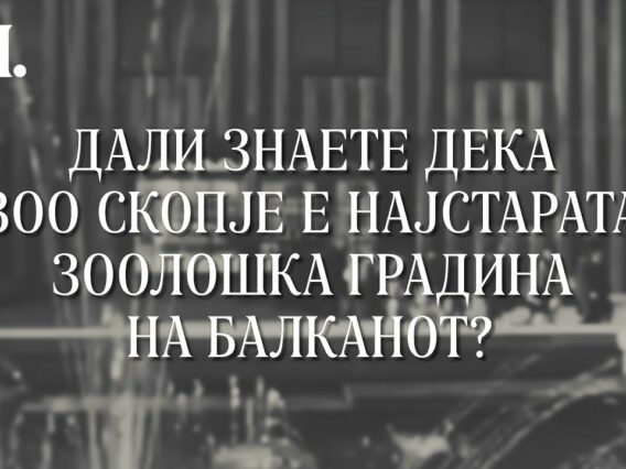 Приватно: [ID: km-LZjiPFR8] Youtube Automatic