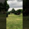 Приватно: [ID: QjlKGiEqswQ] Youtube Automatic