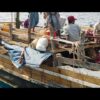 Приватно: [ID: xoBV9rO3y6I] Youtube Automatic