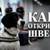 Приватно: [ID: 9DxNj95uB40] Youtube Automatic